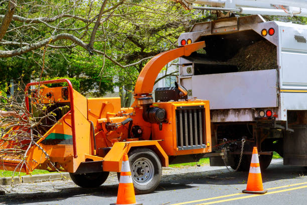 Best Utility Line Clearance  in Kenedy, TX